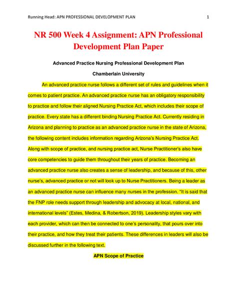professional development plan paper